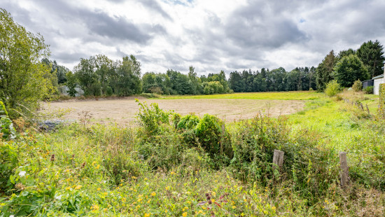 Rue des Etangs - 0 - - 6680
