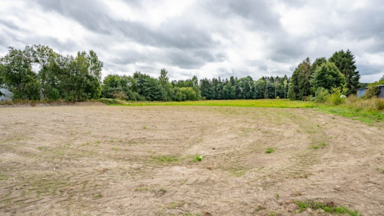 Rue des Etangs - 0 - - 6680