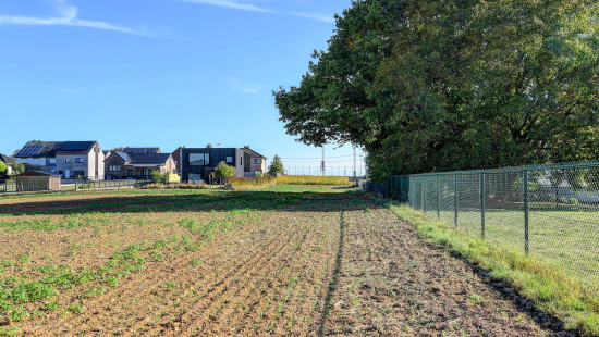 Molenweg - 33 - - 3080