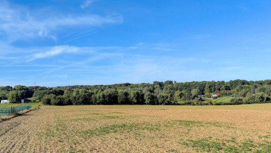 Molenweg - 33 - - 3080