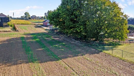 Molenweg - 33 - - 3080