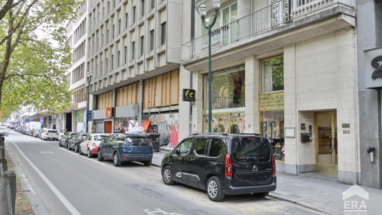Avenue Louise - 223 - - 1000