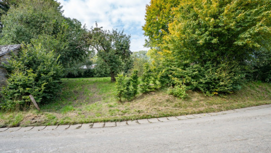 Saint Antoine - 10 - - 6640