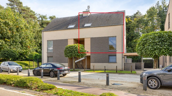 Everselkiezel - 1 - 12 - 3550