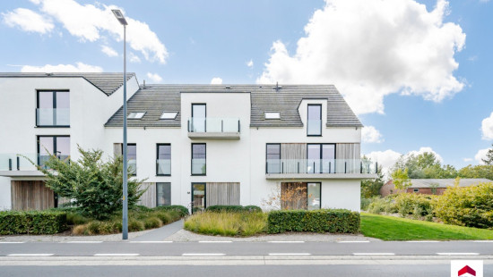 Ruiseledesteenweg - 4 - A 0102 - 8750
