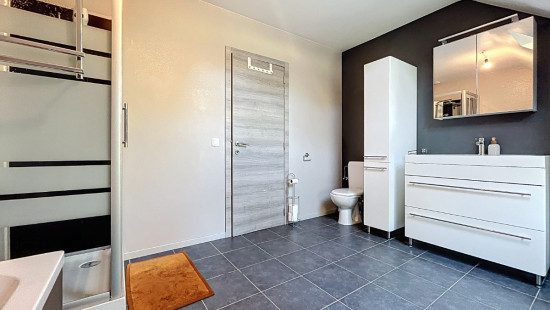 Tige des Saules - 38 - - 4550
