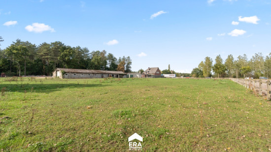 Steenweg op Kleine Brogel - 77 - - 3950