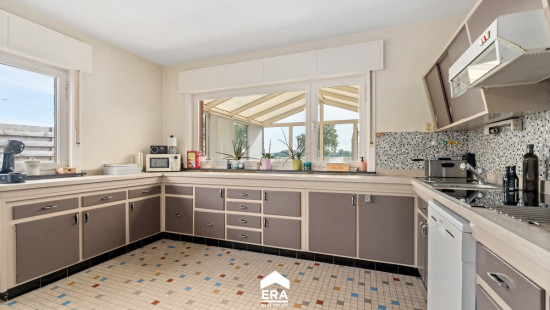 Steenweg op Kleine Brogel - 77 - - 3950