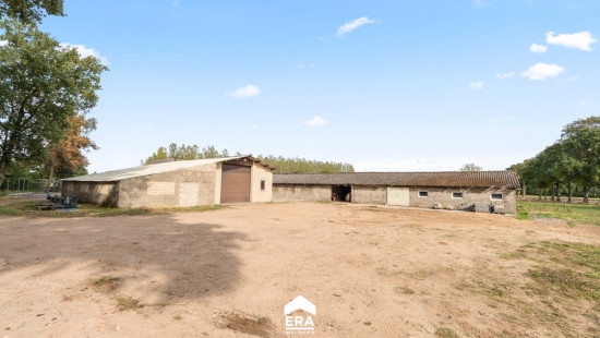 Steenweg op Kleine Brogel - 77 - - 3950