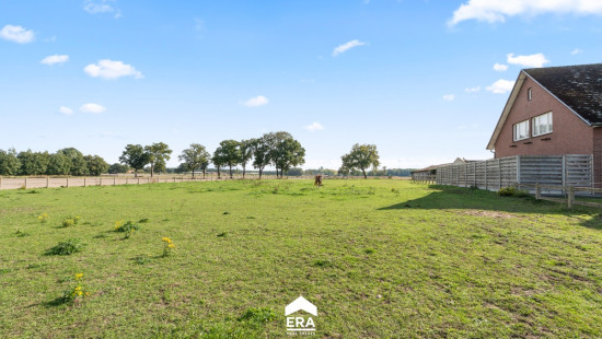 Steenweg op Kleine Brogel - 77 - - 3950