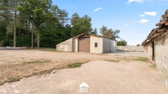 Steenweg op Kleine Brogel - 77 - - 3950