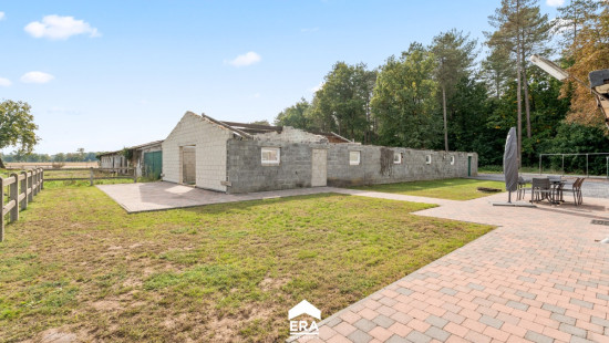 Steenweg op Kleine Brogel - 77 - - 3950