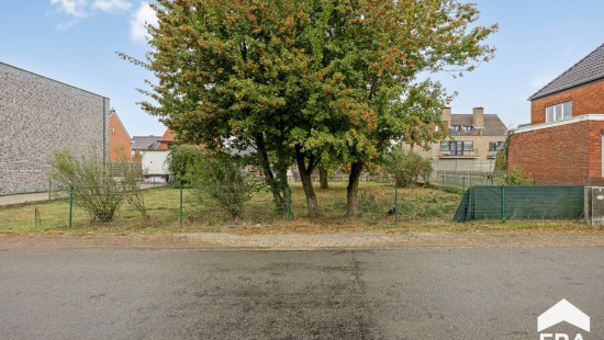 Wildstraat - 40 - - 3920