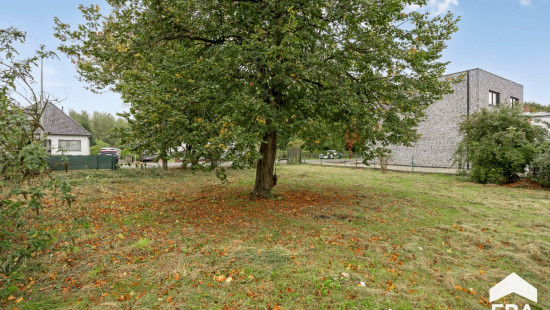 Wildstraat - 40 - - 3920