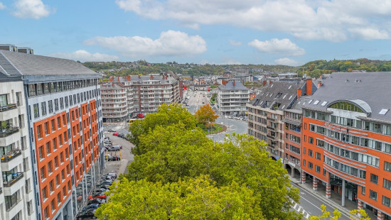 Avenue Gouverneur Bovesse - 117 - 12 - 5100
