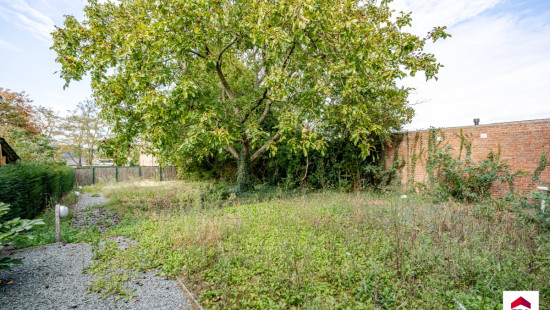 Wakkenstraat - 43 - - 8720