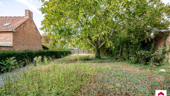 Wakkenstraat - 43 - - 8720