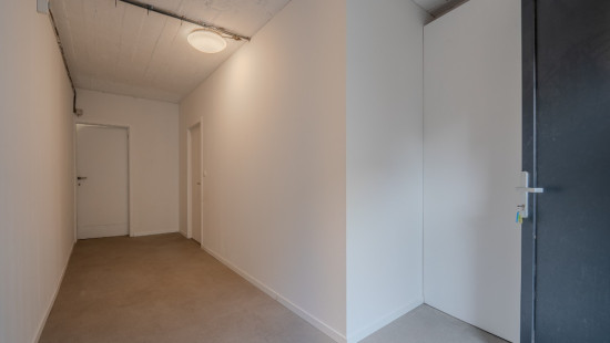 Rue Jean Haust - 123 - - 4000