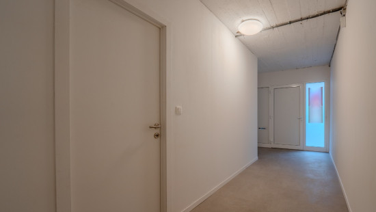 Rue Jean Haust - 123 - - 4000