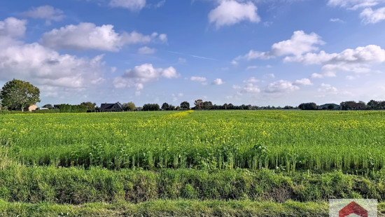 drogenbroodstraat - 52 - - 8740