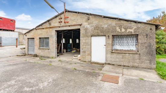 Halconreux - 7 - - 6670