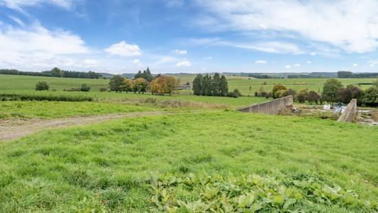 Halconreux - 7 - - 6670