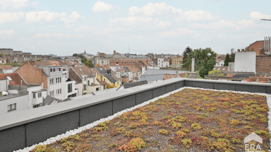 Avenue de la Chasse - 223 - - 1040