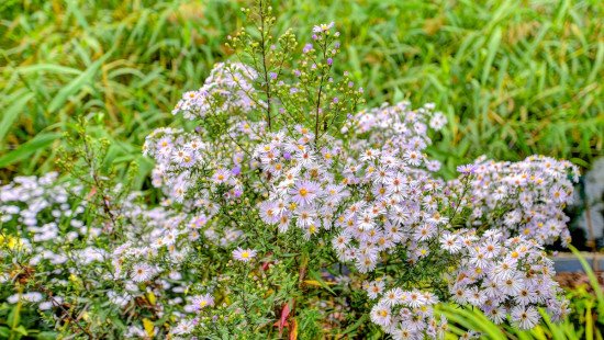 Hertstraat - 27 - 11 - 3221