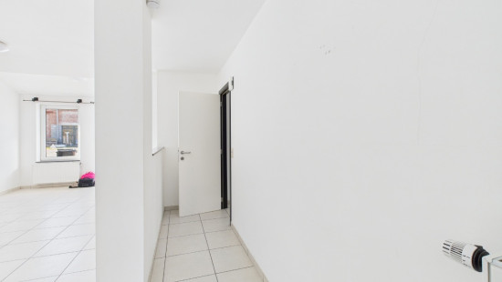 Happe - 8/C - - 5590