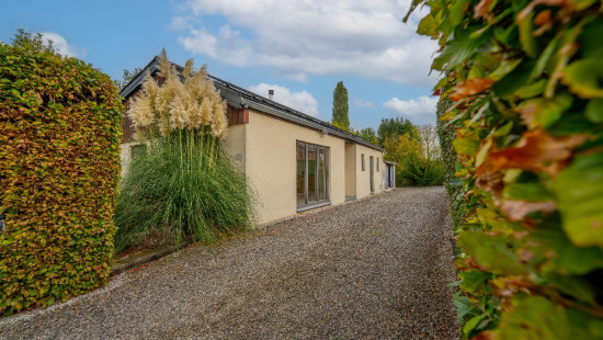 Rue des Marais - 59 - - 1360