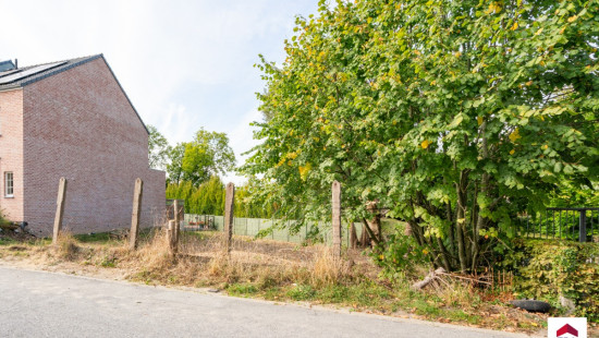 Brouwerijstraat - ZN - - 1653