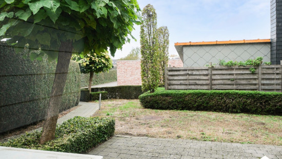 Markt - 4 - 1 - 3545