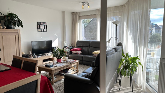 Zuidstraat - 86 - 0202 - 8630