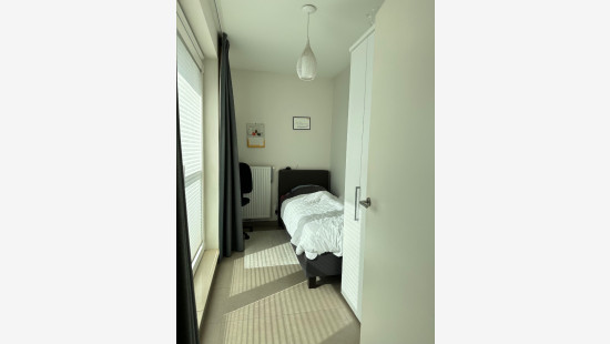 Zuidstraat - 86 - 0202 - 8630