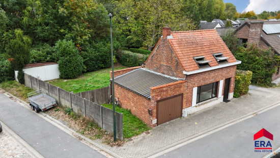 Lievebarm - 55 - - 9990