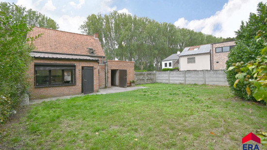 Lievebarm - 55 - - 9990