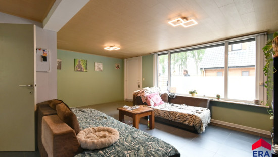 Lievebarm - 55 - - 9990