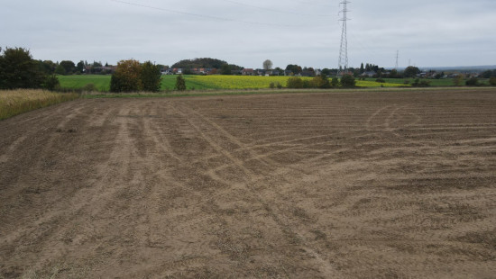 Rue du Champré - 0 - - 7301