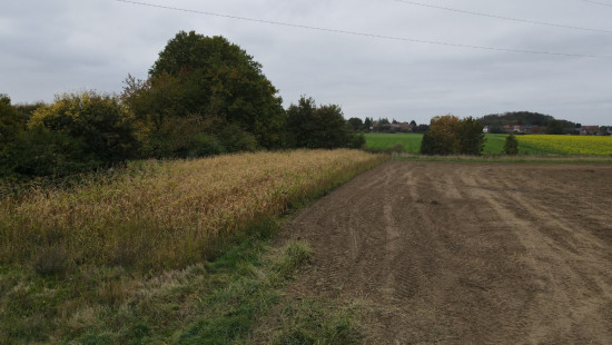 Rue du Champré - 0 - - 7301