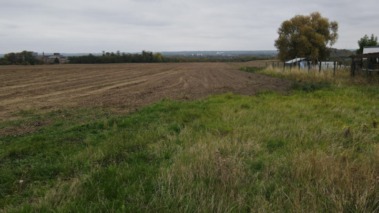 Rue du Champré - 0 - - 7301