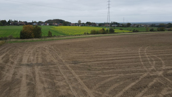 Rue du Champré - 0 - - 7301