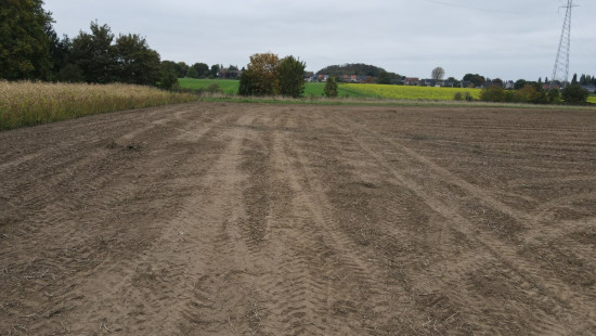 Rue du Champré - 0 - - 7301