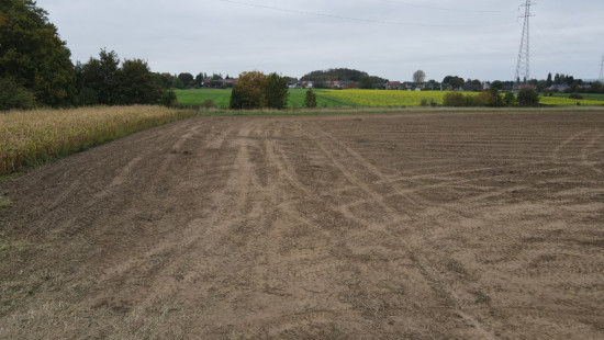 Rue du Champré - 0 - - 7301