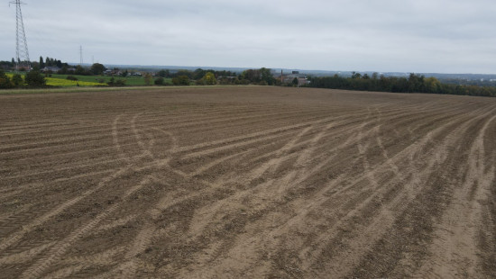 Rue du Champré - 0 - - 7301