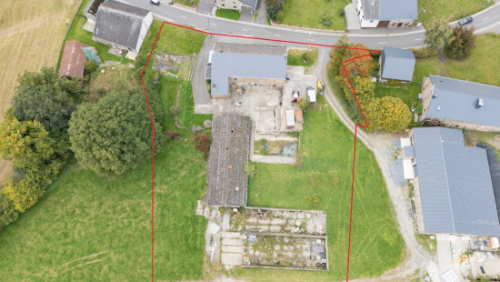 Halconreux - 7 - - 6670