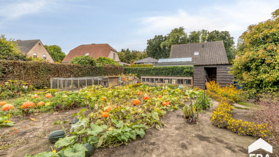 Waterstraat - 9+ - - 8730