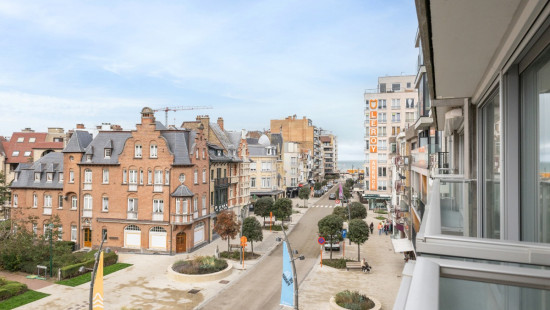 Zeelaan - 154 - 0303 - 8660