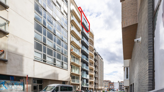 De Saedeleerhelling - 10 - 0801 - 8370