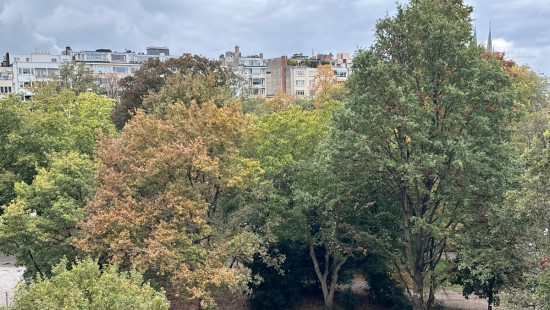 Van Eycklei - 10 - - 2018