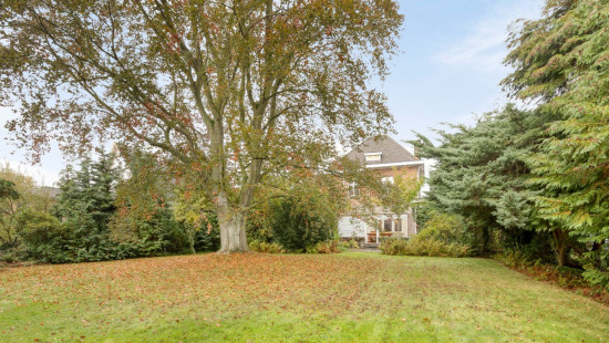 Clemenceaustraat - 236 - - 2860